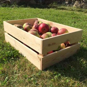 Bedna nízká na jablka dřevo 46cm