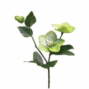 Čemeřice REIMS řezaný umělý zasněžený 3 květy zelená 55cm