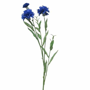 Chrpa řezaná umělá  3 květy modrá 68cm