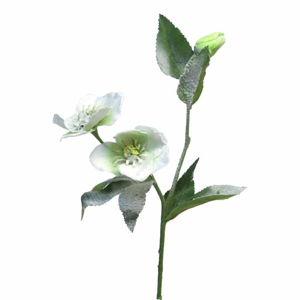 Čemeřice REIMS řezaná umělá 3 květy zasněžená bílá 56cm