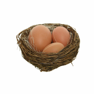 Hnízdo 3 vejce