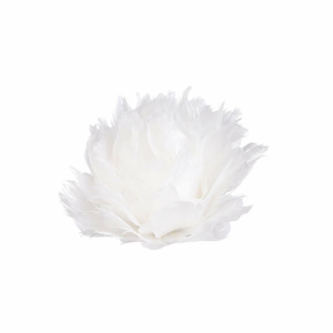 Květ na klipu peří bílá 12cm