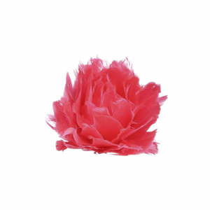 Květ na klipu peří růžová 12cm
