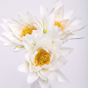 Lotus řezaný umělý krémový