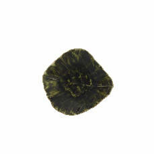 Miska tvar list RIVIERA keramika tm. zelená 11cm
