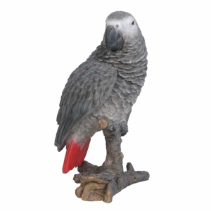 Papoušek šedý na větvi polyresin