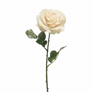 Růže MASSONA řezaná umělá zasněžená broskvová 67cm
