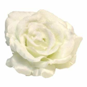 Růže REIMS květ umělá na klipu zasnežená bílá 14cm