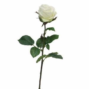 Růže ROSARIUM řezaná umělá krémová 68cm