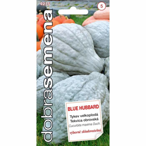 Tykev velkoplodá BLUE HUBBARD (DS)