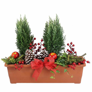 Vánoční truhlík s rostlinami - terakota 60cm bez osvětlení
