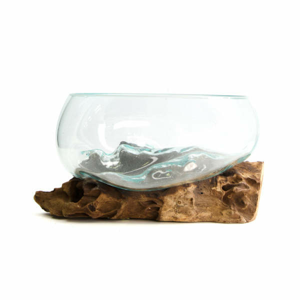 Váza atyp podstavec z kořene sklo/dřevo přírodní 33cm